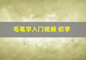 毛笔字入门视频 初学